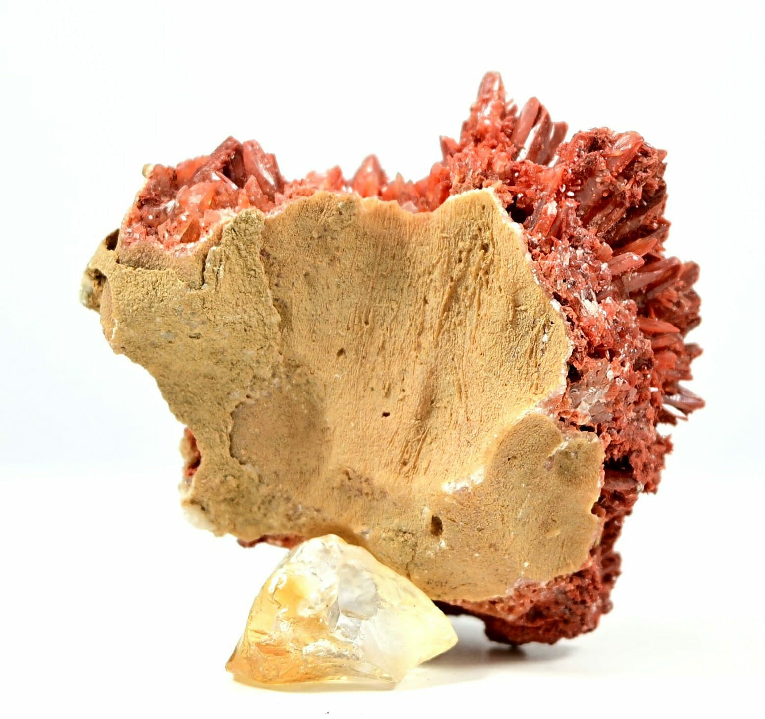 Small Beautiful Red Calcite spike trees boutique back