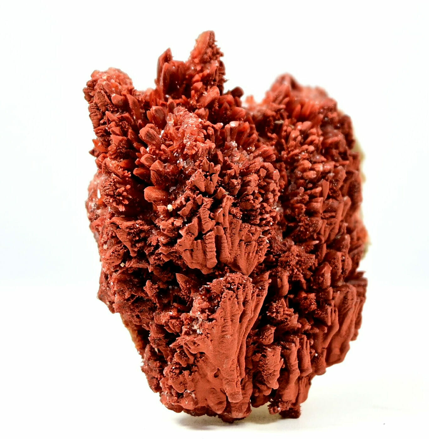 Small Beautiful Red Calcite spike trees boutique side 2