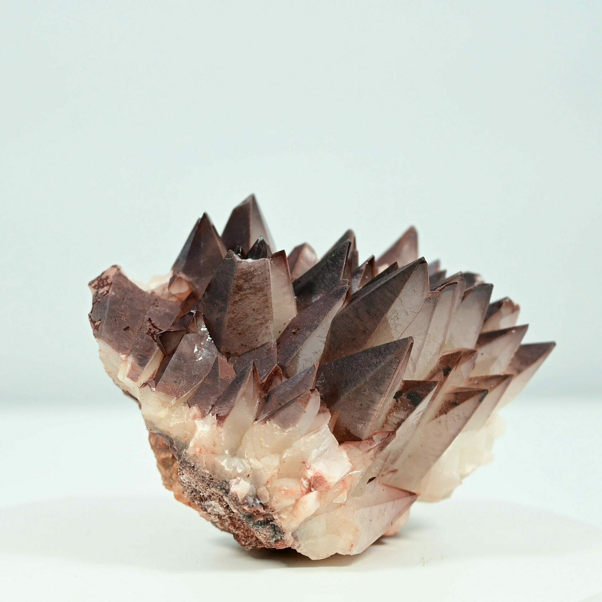 Beautiful two colors sketch calcite tooth calcite from Hubei Daye China side 1